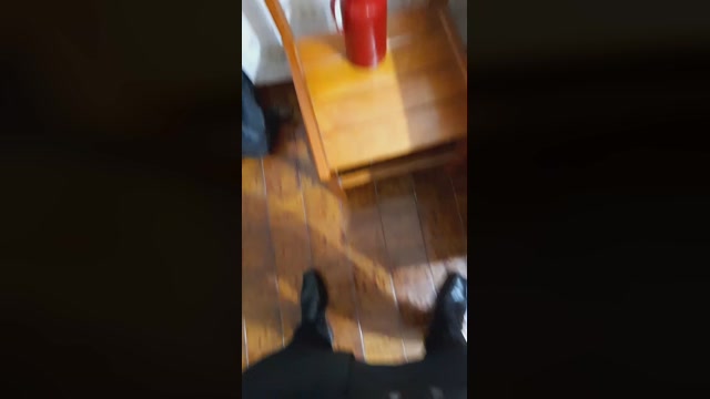 thorrposidon25  02-01-2023 Recorded Video toys