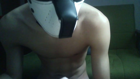 Tibetanwolf2264  04-01-2023 Recorded Video fingers