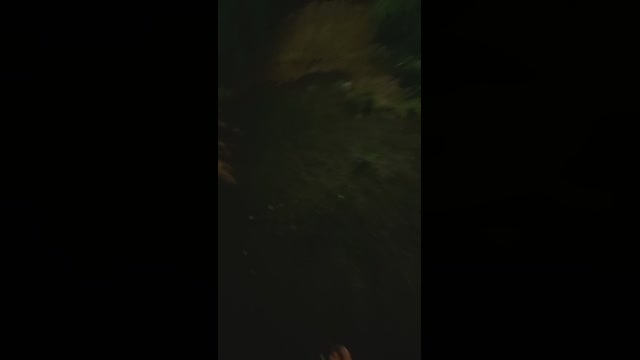 edydahora95  05-01-2023 Recorded Video analsex