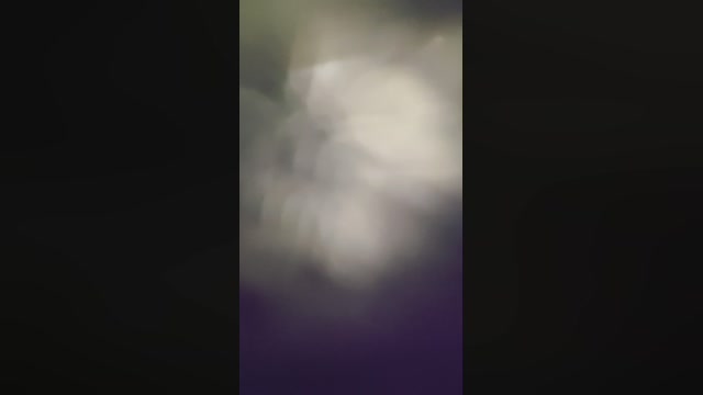 Novohetero20cm5  06-01-2023 Recorded Video cute