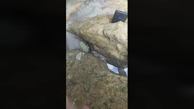 mister_fisting4  06-01-2023 Recorded Video toys