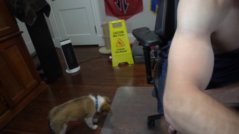 sydaffect  08-01-2023 video jackoff