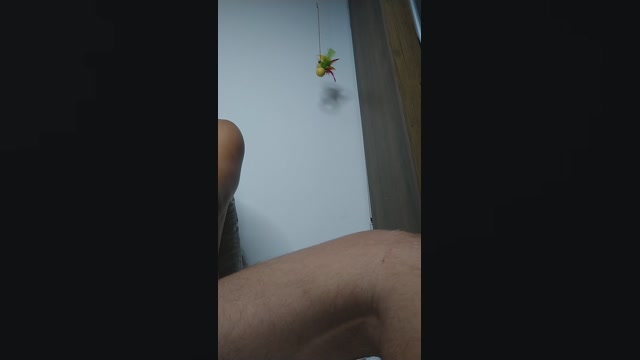Icarosafado19cm  09-01-2023 Recorded Video sex