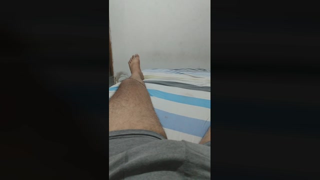 Perro2023  10-01-2023 Recorded Video toys