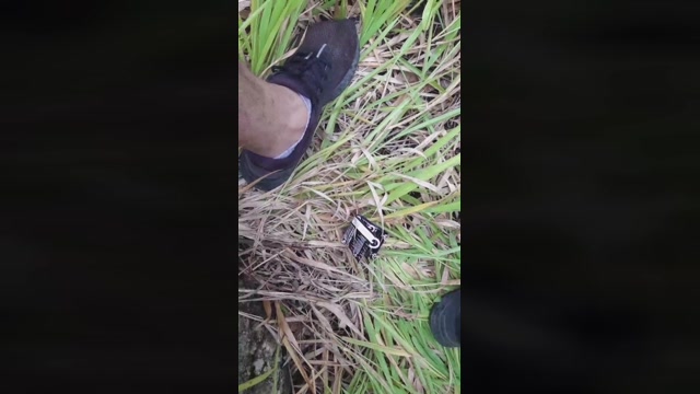 Synbaherrera  10-01-2023 Recorded Video hard