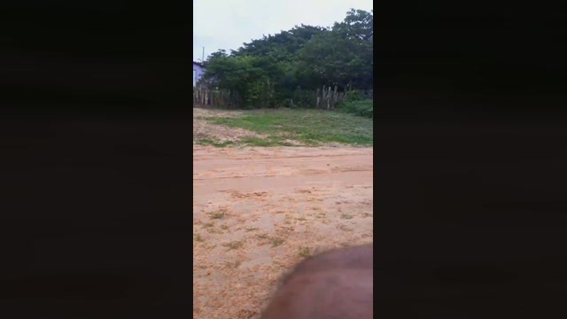 Peazinho1  12-01-2023 Recorded Video jackoff