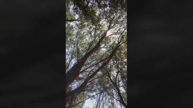 TimTopsXL  11-01-2023 Recorded Video sexy