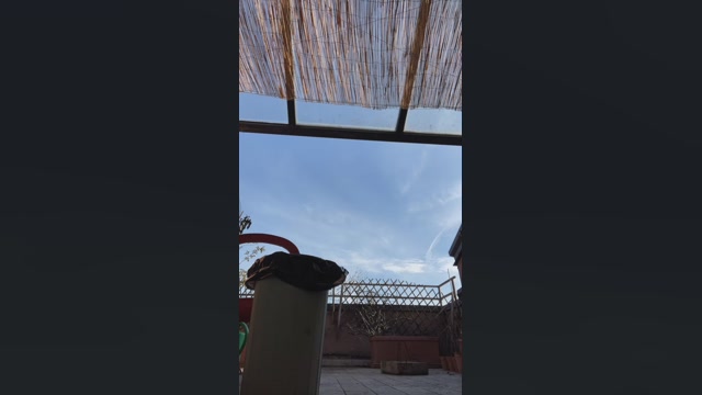 extremeanal  12-01-2023 Recorded Video bigtoys
