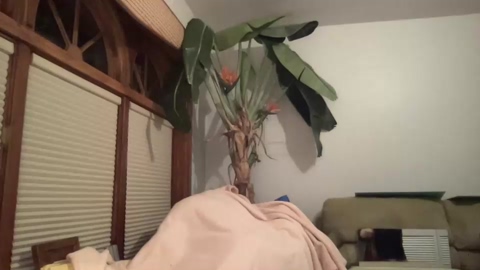 snowbunnyass 11-01-2023 Topless 