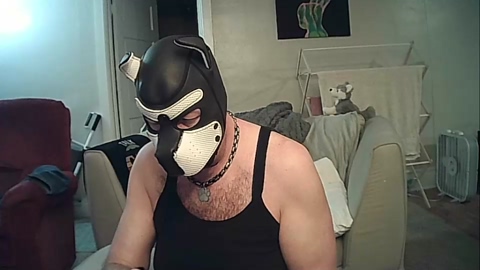 alphawolf_and_pack  12-01-2023 video ass