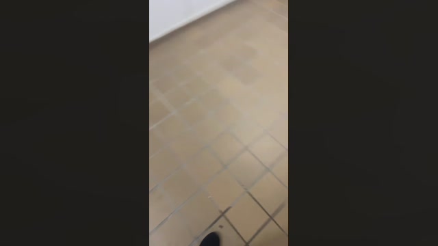 NanoErick  14-01-2023 Recorded Video play