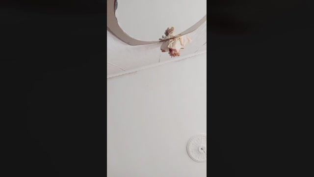 albaniacaserta4  14-01-2023 Recorded Video kink