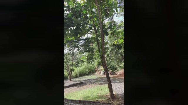 alex_delarge  13-01-2023 Recorded Video bigcock