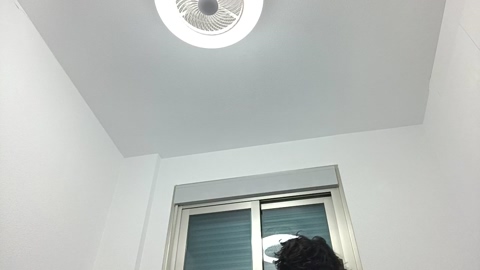N_Benitocamelo  15-01-2023 Recorded Video lovense