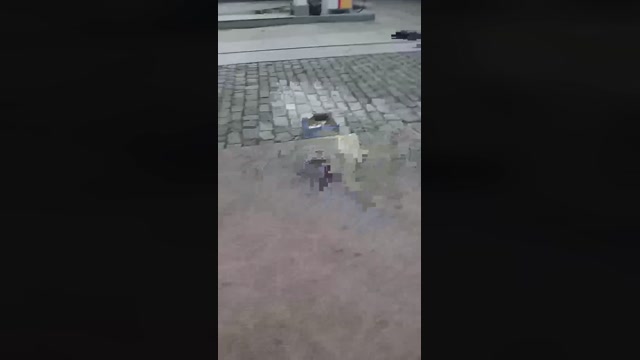 marcos590  15-01-2023 Recorded Video big