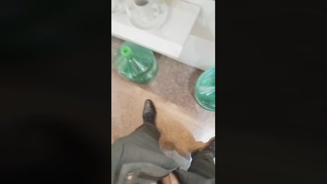 watis420  15-01-2023 Recorded Video sexykitty