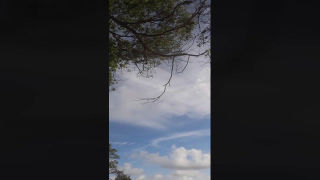 ikaromedeiros  16-01-2023 Recorded Video juicy