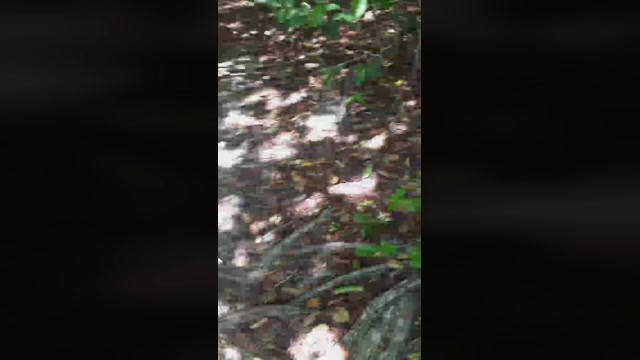 ikaromedeiros  16-01-2023 Recorded Video naughty