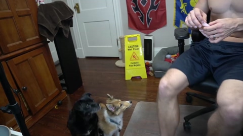 sydaffect  16-01-2023 video oral