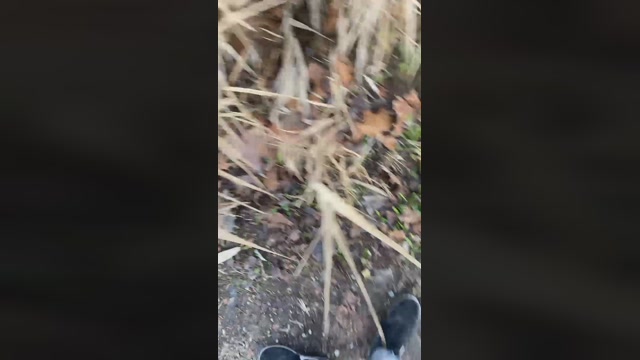 Lucifer6602  18-01-2023 Recorded Video gay