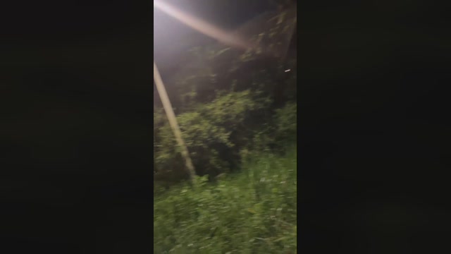 NanoErick  17-01-2023 Recorded Video toys