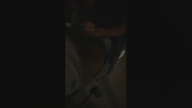 caiolacerdabh7  19-01-2023 Recorded Video jerkoff
