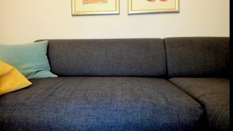 mewtwo__  19-01-2023 video handsome