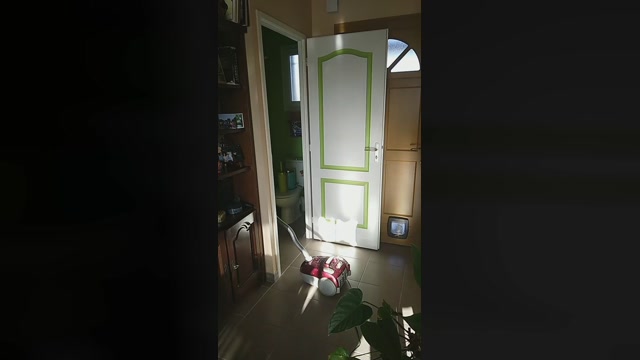 nous337 21-01-2023 suck 