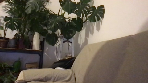 Rbeuuuu  21-01-2023 Recorded Video jerking