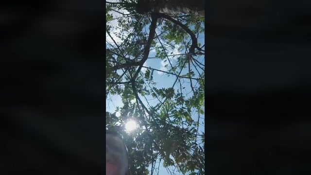 StivenX2  21-01-2023 Recorded Video fuckhard