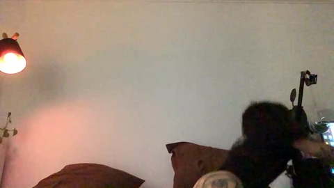 Spakitty