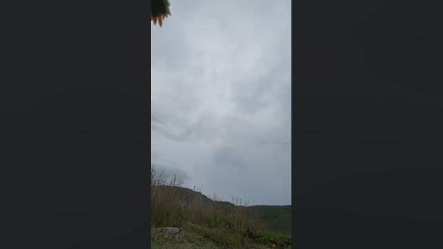 GATOXXLBR  23-01-2023 Recorded Video suckcock
