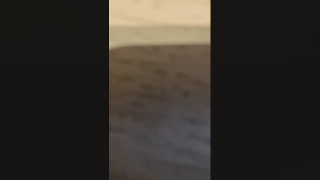 guarretjove  24-01-2023 Recorded Video beautiful