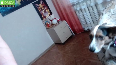 sweet_sin_sati 23-01-2023 ass 