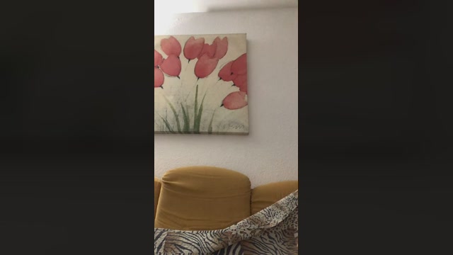 tysonmore88gma2  23-01-2023 Recorded Video sex