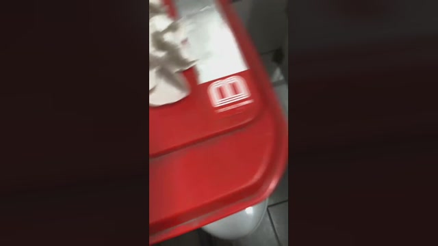 Dapehur  25-01-2023 Recorded Video big