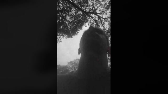 Nicooxxx9  25-01-2023 Recorded Video Webcam