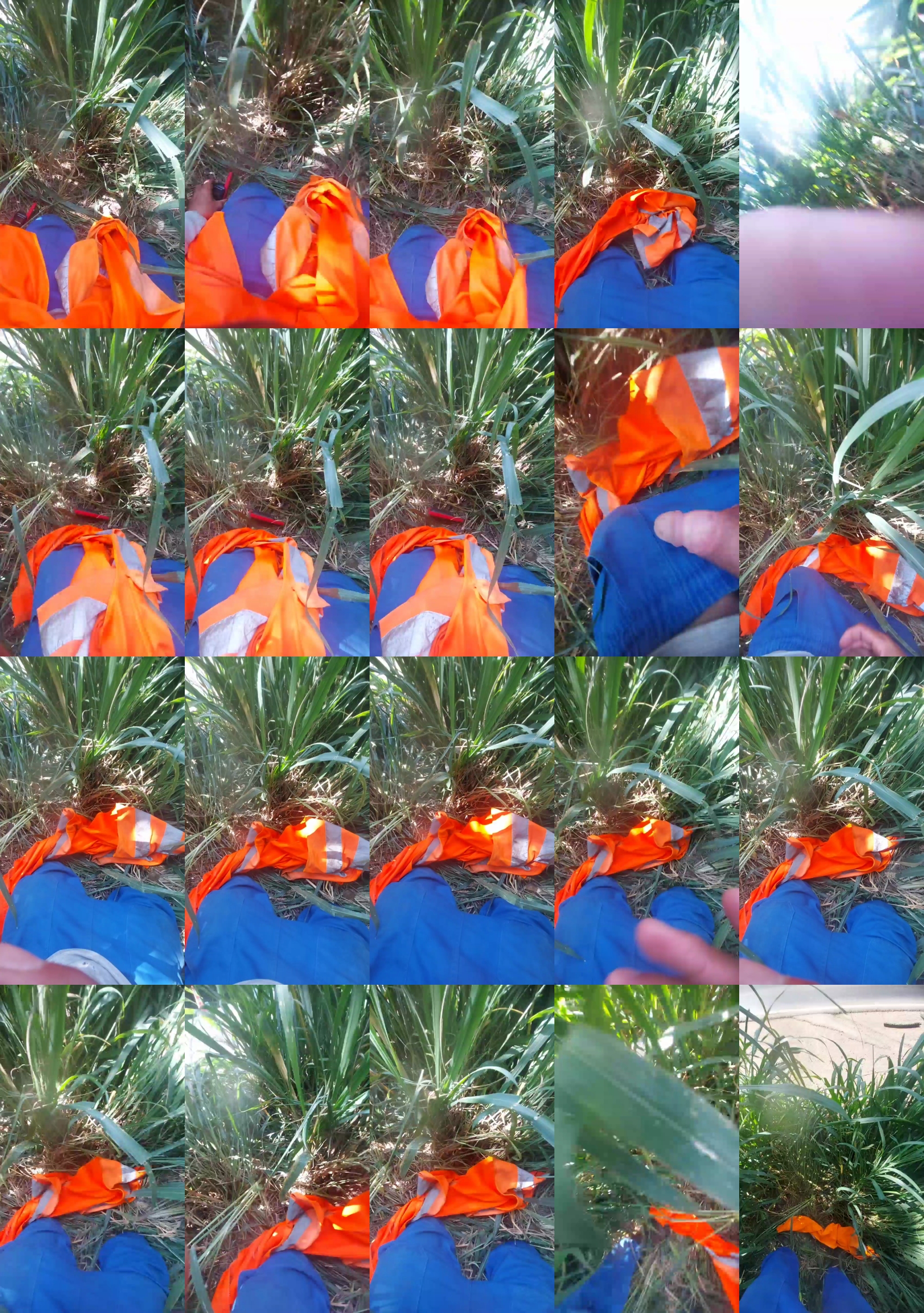 Ratinho02  25-01-2023 Recorded Video beautiful