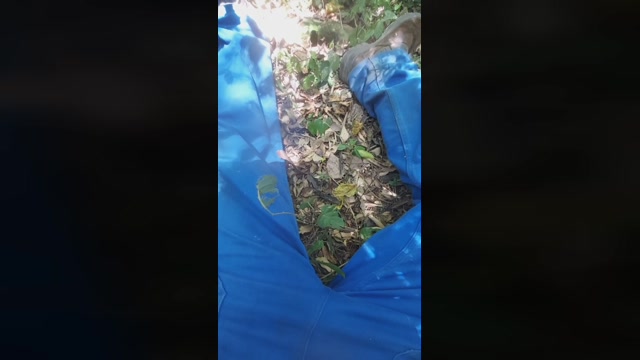 Ratinho02  25-01-2023 Recorded Video Ass