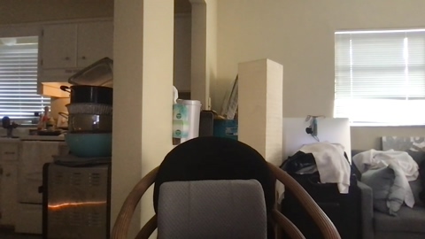 bossman260  26-01-2023 Recorded Video hardcore