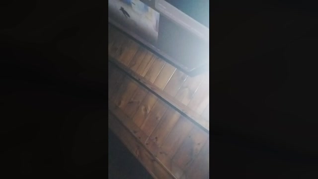 cokkboy_  25-01-2023 Recorded Video kinky