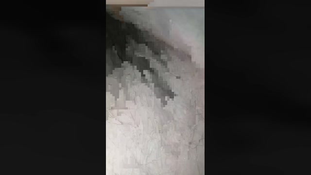 dahianxxx 25-01-2023 lovense 