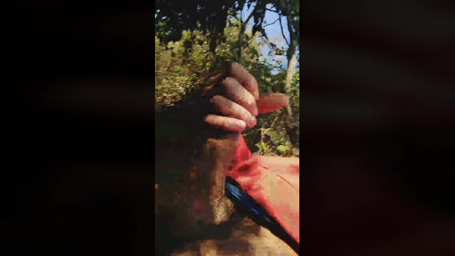 icebulls  26-01-2023 Recorded Video hardcock