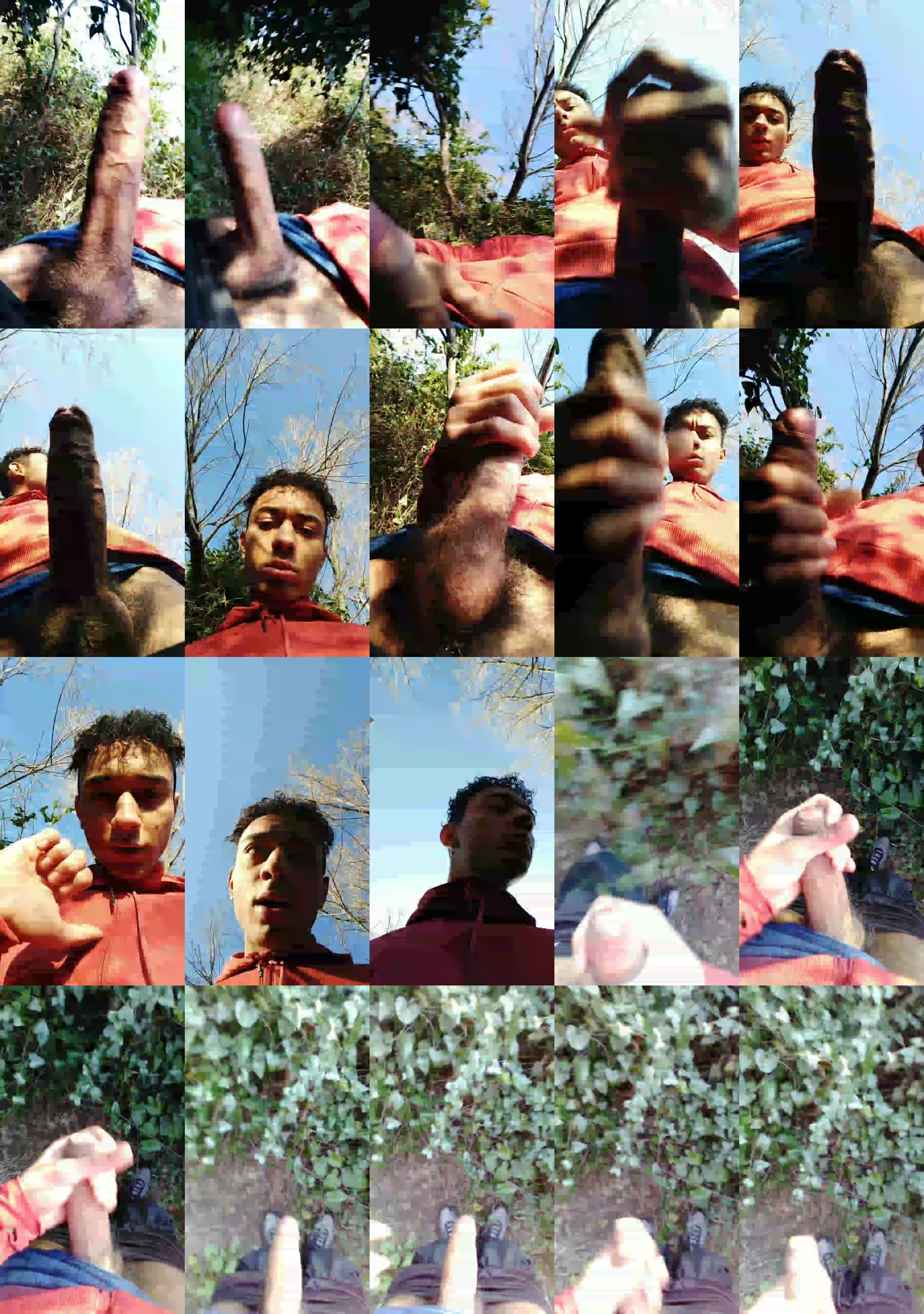 icebulls  26-01-2023 Recorded Video hardcock