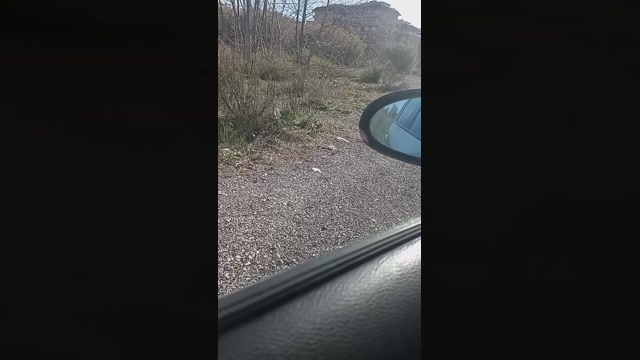 marcoroma57  26-01-2023 Recorded Video deep