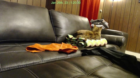 petiteandpete 25-01-2023 ass 