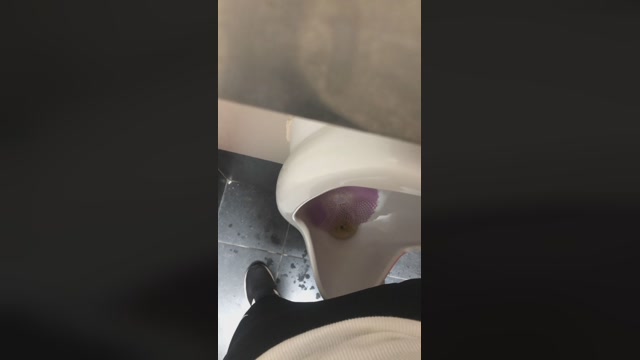 Dapehur  26-01-2023 Recorded Video hot