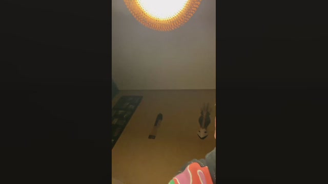Victoryalex1312  26-01-2023 Recorded Video orgasm