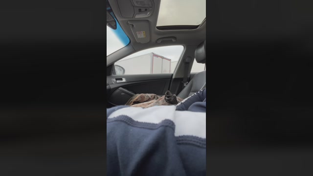 piemel19x6  27-01-2023 Recorded Video fuckher