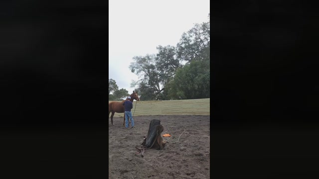 Cowboyswagxxx  28-01-2023 Recorded Video lush